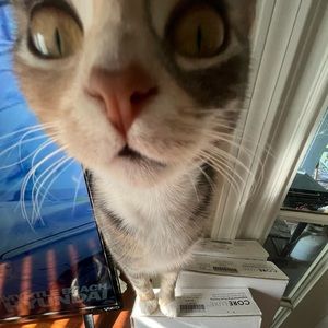 Meet your Posher, Catherine